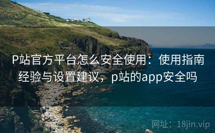 P站官方平台怎么安全使用：使用指南经验与设置建议，p站的app安全吗