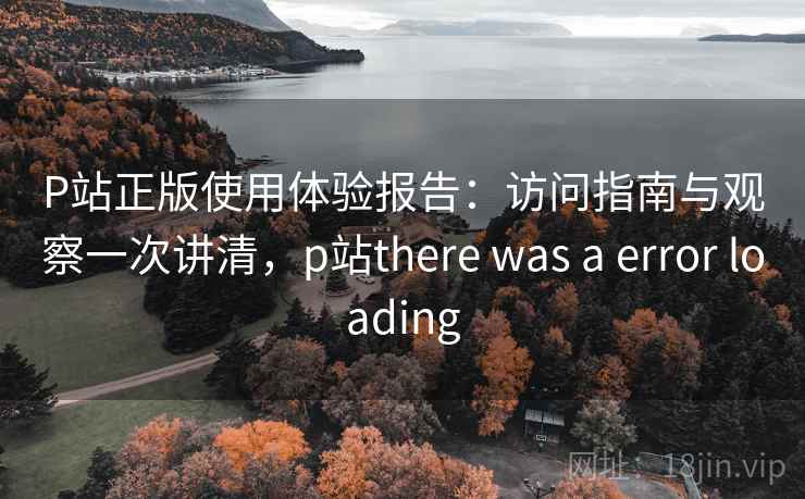 P站正版使用体验报告：访问指南与观察一次讲清，p站there was a error loading