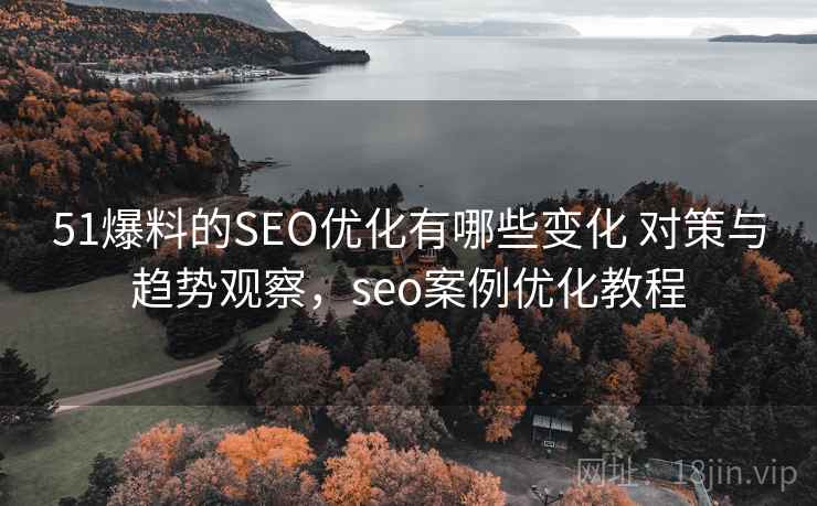 51爆料的SEO优化有哪些变化 对策与趋势观察，seo案例优化教程