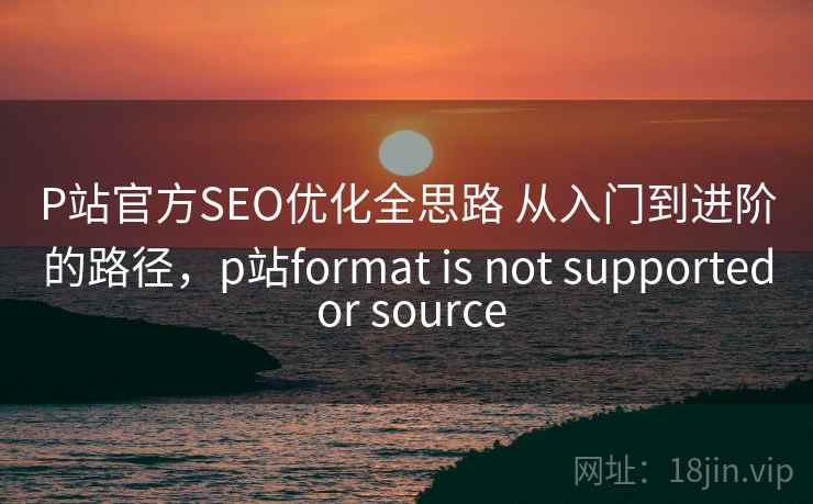 P站官方SEO优化全思路 从入门到进阶的路径，p站format is not supported or source