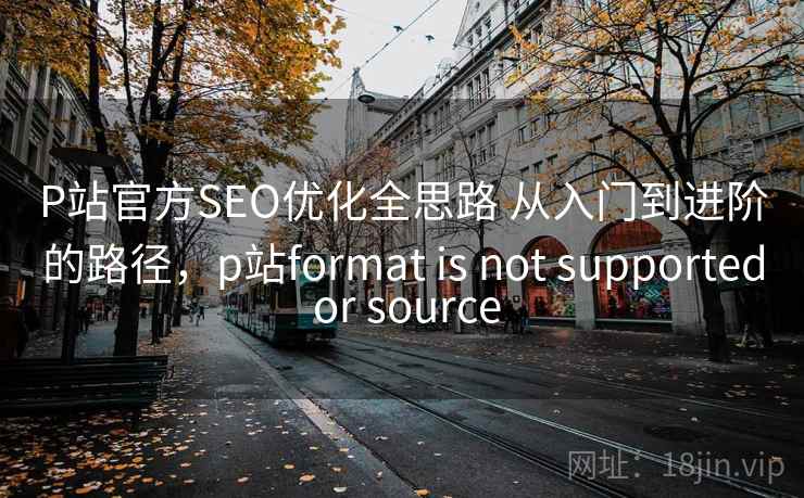 P站官方SEO优化全思路 从入门到进阶的路径，p站format is not supported or source