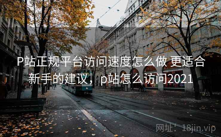 P站正规平台访问速度怎么做 更适合新手的建议，p站怎么访问2021