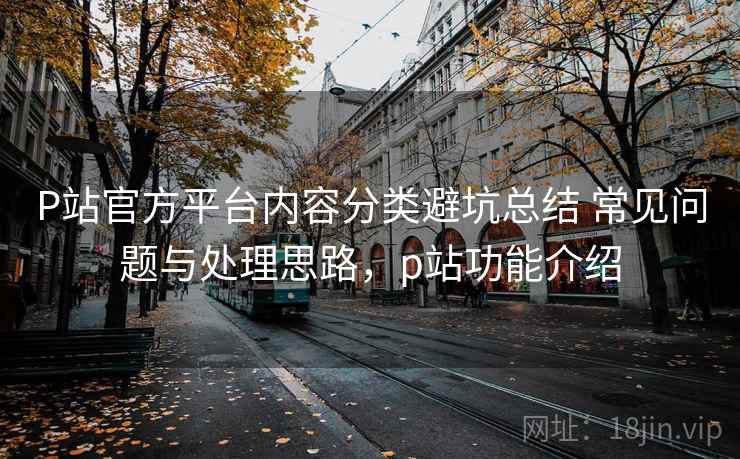 P站官方平台内容分类避坑总结 常见问题与处理思路，p站功能介绍