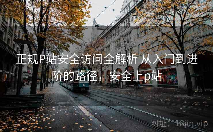 正规P站安全访问全解析 从入门到进阶的路径，安全上p站