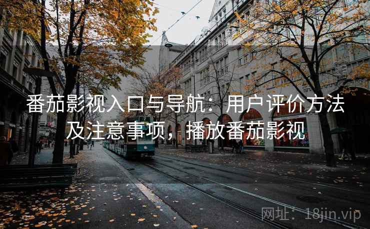 番茄影视入口与导航：用户评价方法及注意事项，播放番茄影视