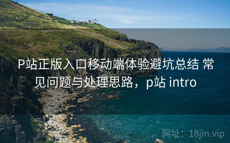 P站正版入口移动端体验避坑总结 常见问题与处理思路，p站 intro