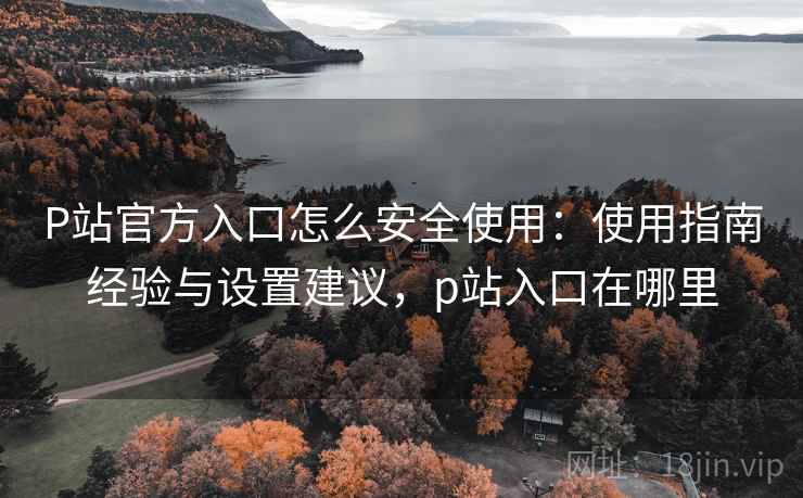P站官方入口怎么安全使用：使用指南经验与设置建议，p站入口在哪里