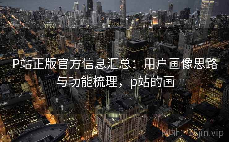 P站正版官方信息汇总：用户画像思路与功能梳理，p站的画
