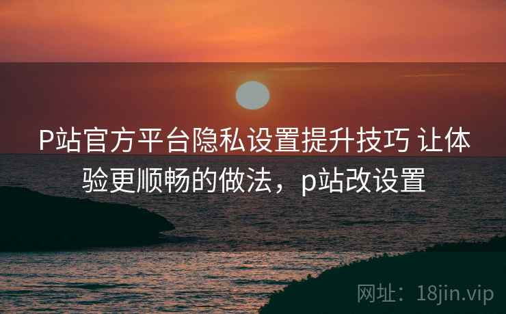 P站官方平台隐私设置提升技巧 让体验更顺畅的做法，p站改设置