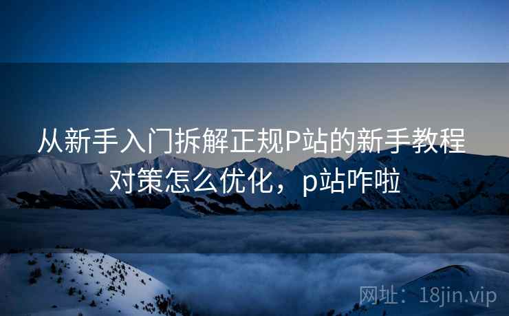 从新手入门拆解正规P站的新手教程 对策怎么优化，p站咋啦