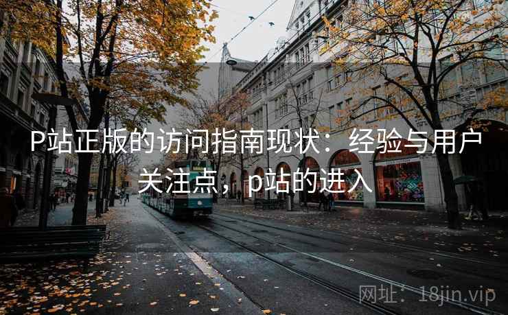 P站正版的访问指南现状：经验与用户关注点，p站的进入