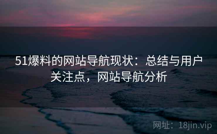 51爆料的网站导航现状：总结与用户关注点，网站导航分析