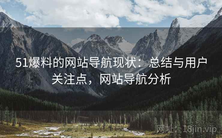 51爆料的网站导航现状：总结与用户关注点，网站导航分析