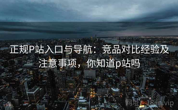 正规P站入口与导航：竞品对比经验及注意事项，你知道p站吗
