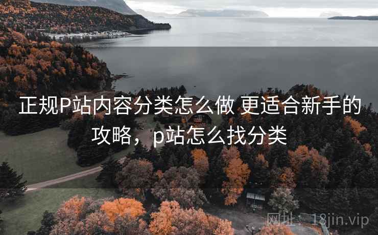 正规P站内容分类怎么做 更适合新手的攻略，p站怎么找分类