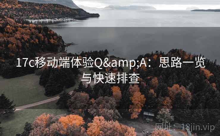 17c移动端体验Q&A：思路一览与快速排查