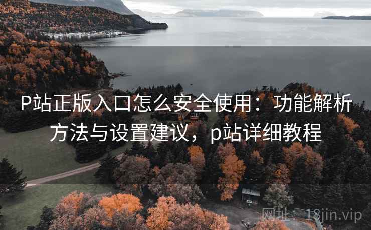 P站正版入口怎么安全使用:功能解析方法与设置建议,p站详细教程 P站正版入口怎么安全使用:功能解析方法与设置建议,p站详细教程