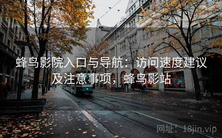 蜂鸟影院入口与导航：访问速度建议及注意事项，蜂鸟影站