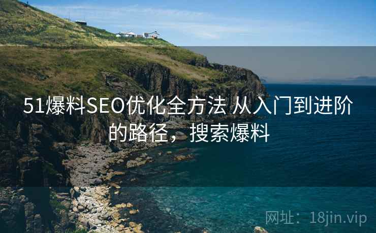 51爆料SEO优化全方法 从入门到进阶的路径，搜索爆料