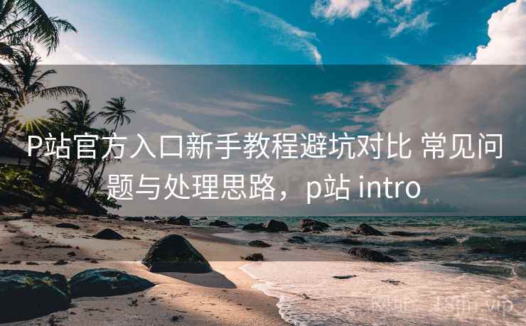 P站官方入口新手教程避坑对比 常见问题与处理思路，p站 intro