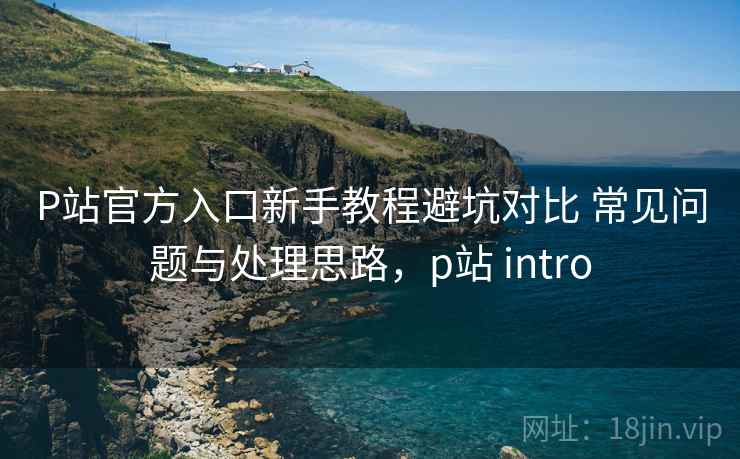 P站官方入口新手教程避坑对比 常见问题与处理思路，p站 intro