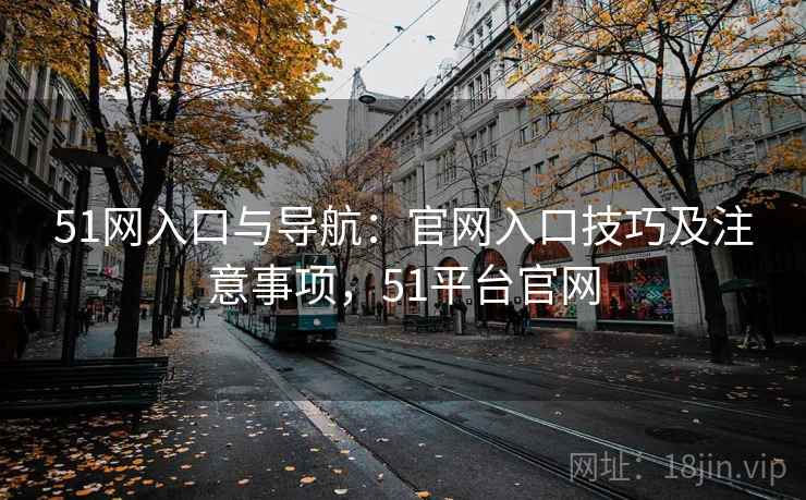 51网入口与导航：官网入口技巧及注意事项，51平台官网