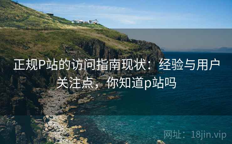 正规P站的访问指南现状：经验与用户关注点，你知道p站吗