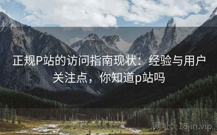 正规P站的访问指南现状:经验与用户关注点,你知道p站吗 正规P站的访问指南现状:经验与用户关注点,你知道p站吗