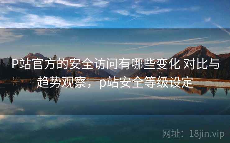P站官方的安全访问有哪些变化 对比与趋势观察，p站安全等级设定