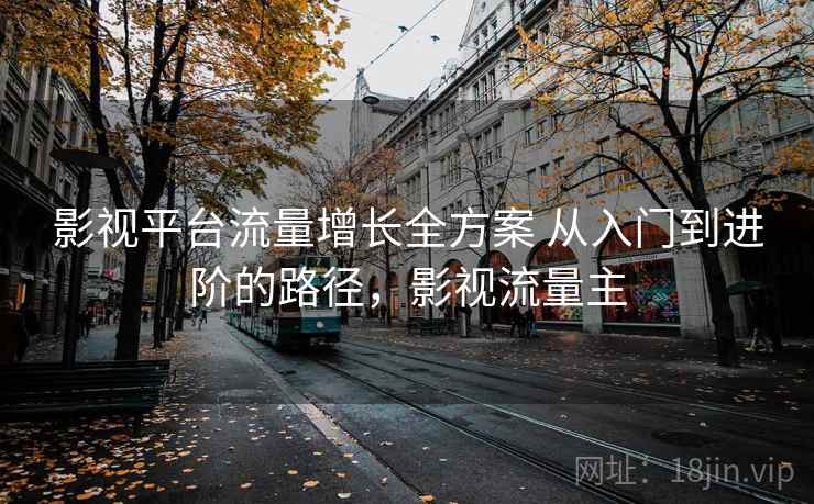 影视平台流量增长全方案 从入门到进阶的路径,影视流量主 影视平台流量增长全方案 从入门到进阶的路径,影视流量主